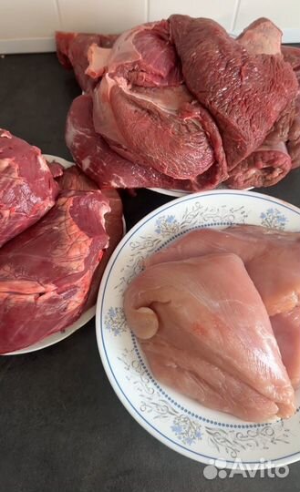 Корм для кошек домашний