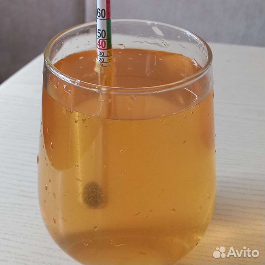 Чайный гриб, винный гриб, закваска для хлеба