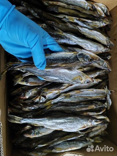 Корюшка вяленая с икрой