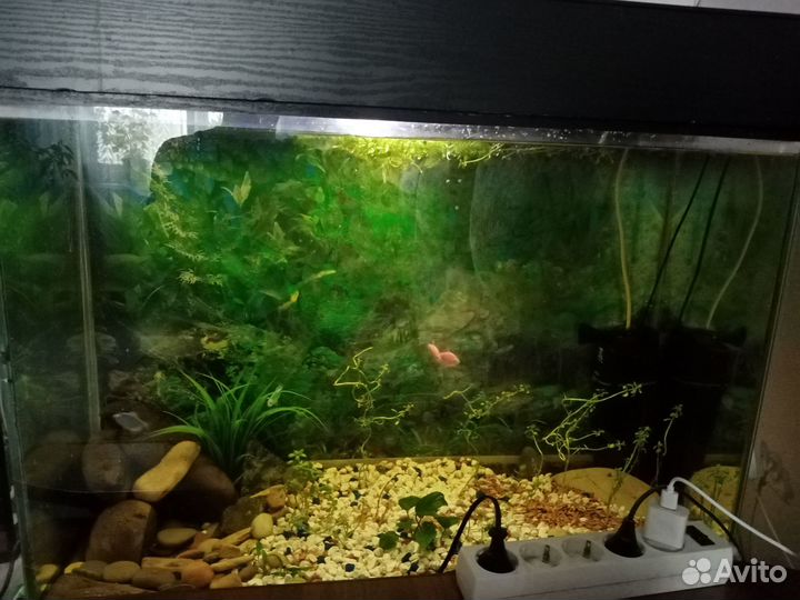 Продам аквариум