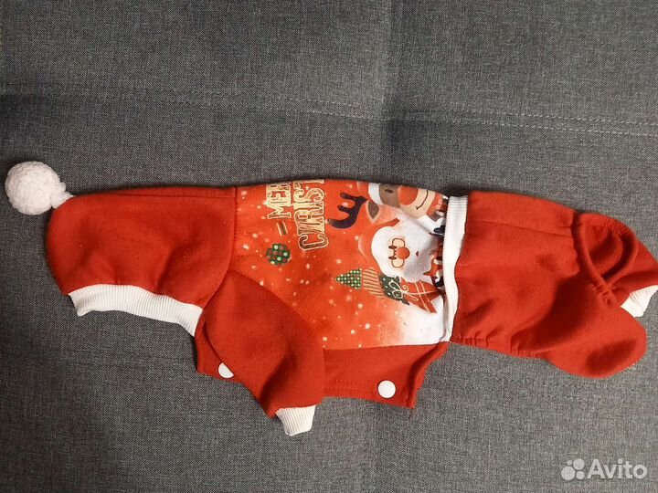 Шлейки, поводки, переноска, бычий корень, одежда