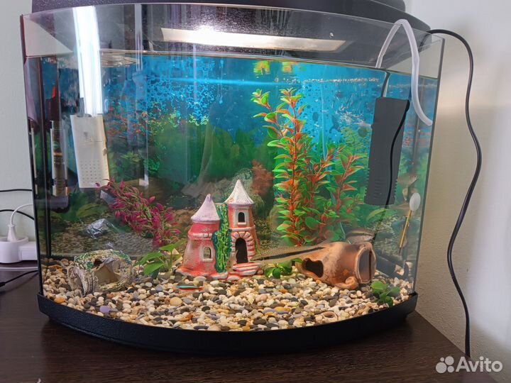 Аквариум с рыбками