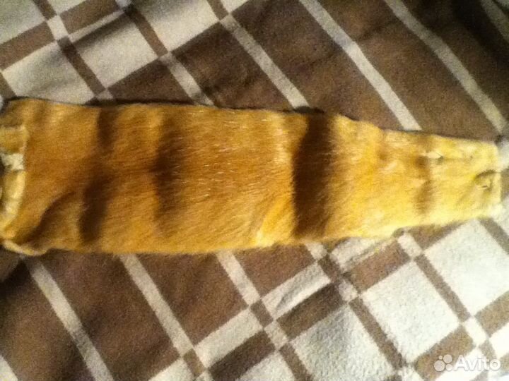 Шкурка золотистой нутрии