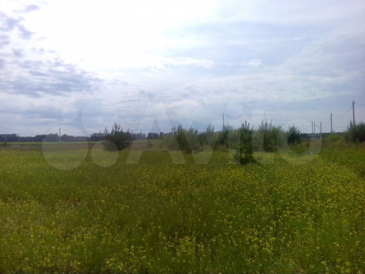 Участок 10 сот. (СНТ, ДНП)