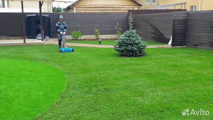 Рулонный газон, укладка, продажа