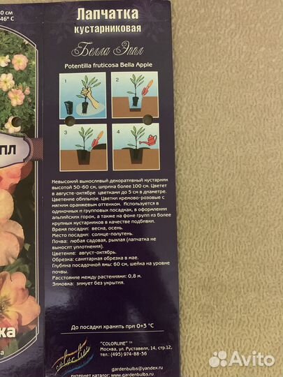 Лапчатка желтая кустарниковая