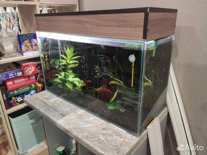 Аквариум 100 литров с тумбой