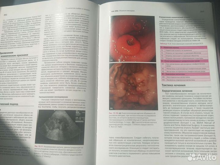 Онкология собак и кошек bsava