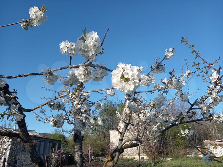 Дом 80 м² на участке 5 сот.