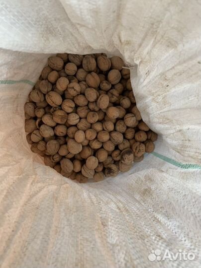 Грецкий орех