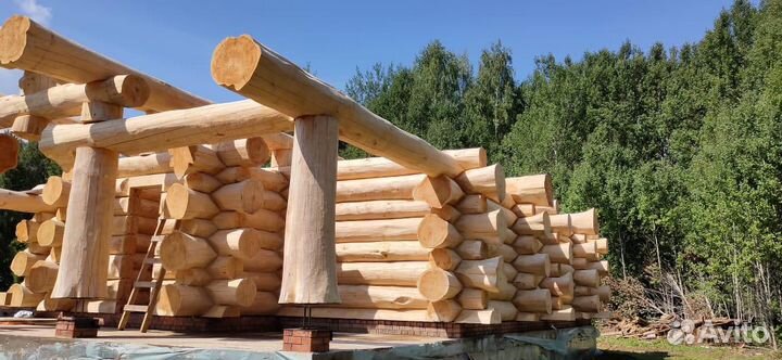 Сруб из кедра