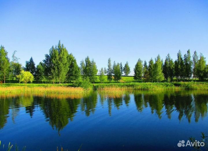 Тур в Беларусь 2 нч. завтрак