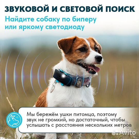 Gps ошейник для охотничьей собаки