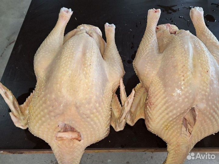 Домашние индюки вкусные без запаха