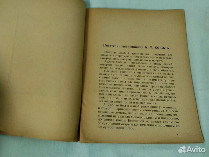 Дбж Андрей Соболь Там, где решетки 1926