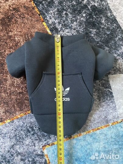 Одежда для животных