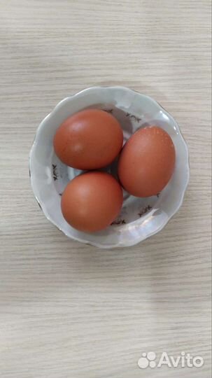 Домашние куриные яйца