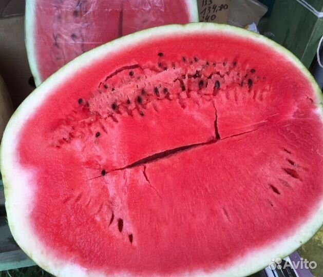 Арбуз иран