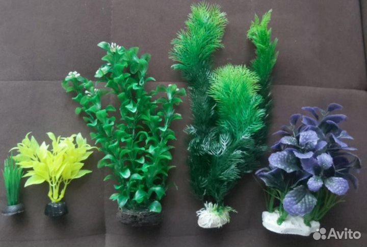 Для аквариума