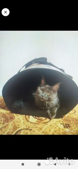 Большая xxxl переноска для крупных животных