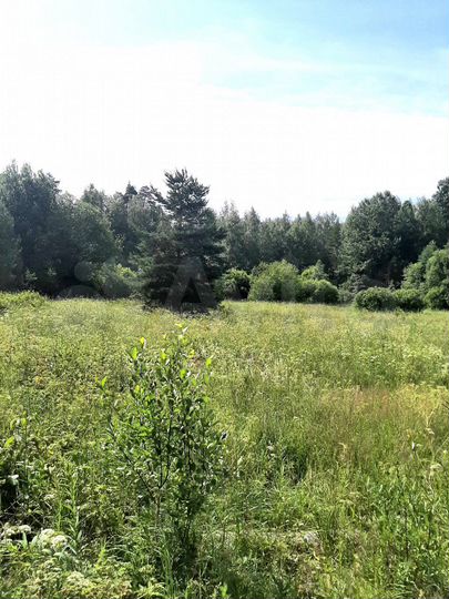 Участок 100 сот. (СНТ, ДНП)