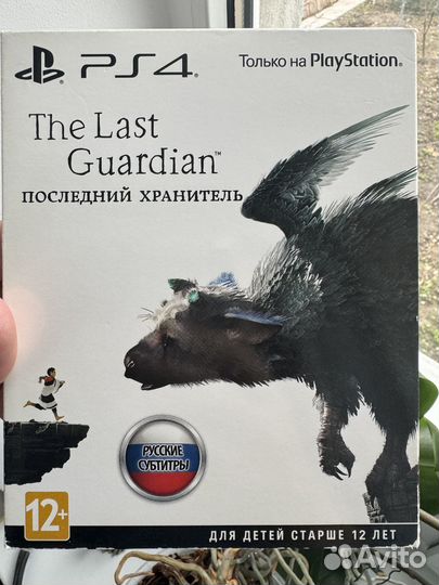 The Last Guardian