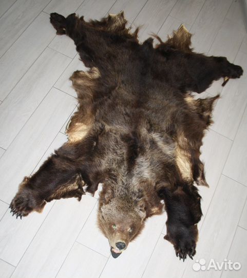 Медвежья шкура с головой на основе имитация 155 см