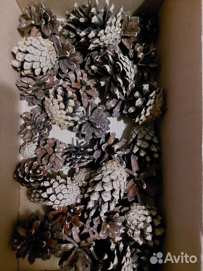 Гербарий для рукоделия