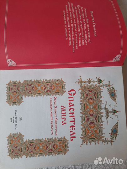 Книга: Спаситель мира. Состояние новой