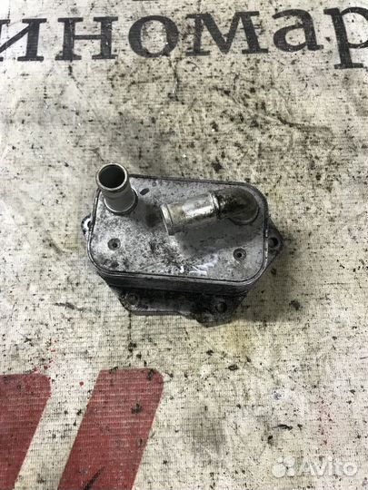 Радиатор масляный Land Rover Freelander