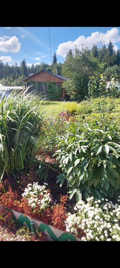 Дом 160 м² на участке 18 сот.