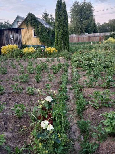 Дача 17 м² на участке 5,4 сот.