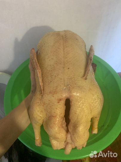 Мясо утки, гуся домашнее