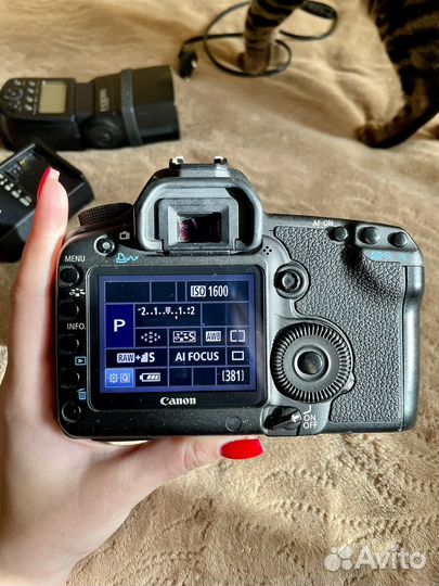 Комплект Canon EOS 5D mark II пробег 25к