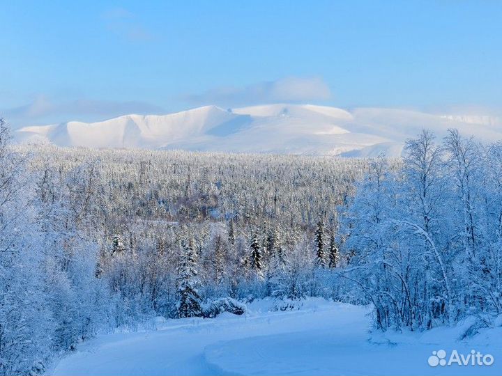 Мурманск Топ-Экскурсия Кировск иХибины— сокровища