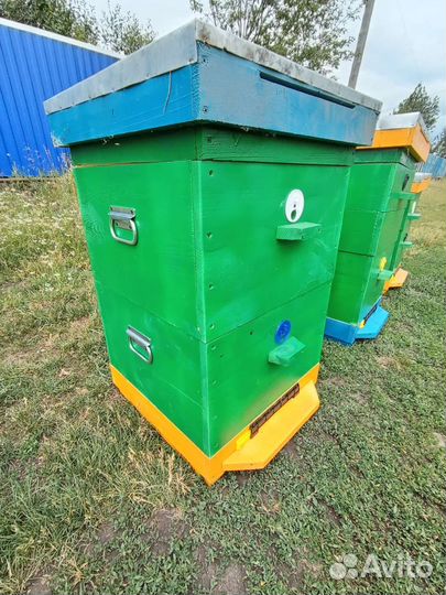 Улей дадан 12