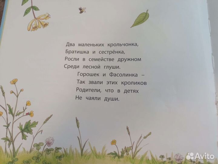 Книги Амбер Стюарт