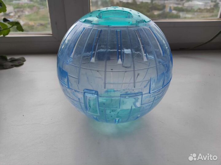 Шар прогулочный для сирийского хомяка