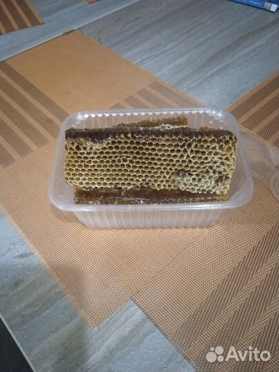 Рамка меда в сотах