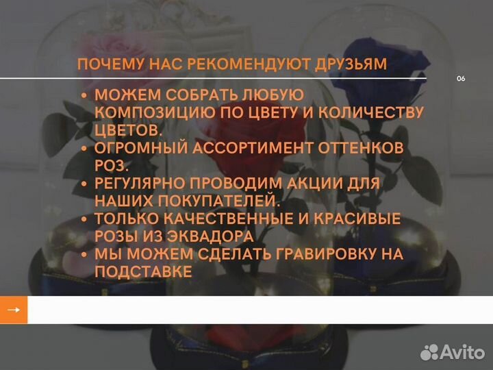 Роза в колбе. Живая