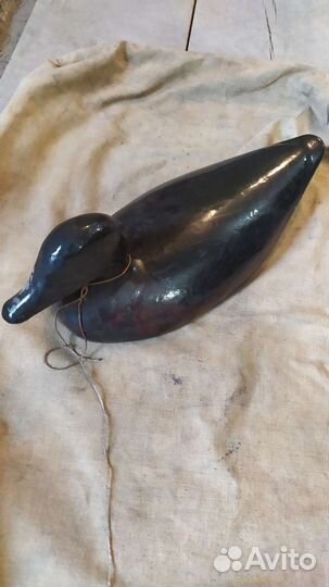 Утки подсадные для охоты