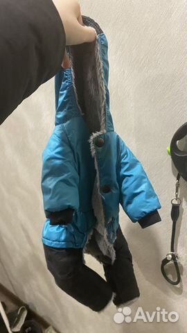 Костюм для собаки