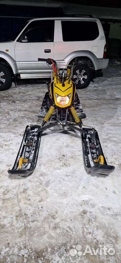 Dingo t150