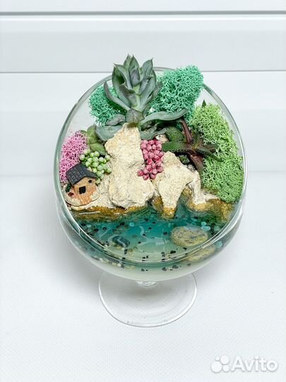 Флорариум суккуленты светящийся водоем букет