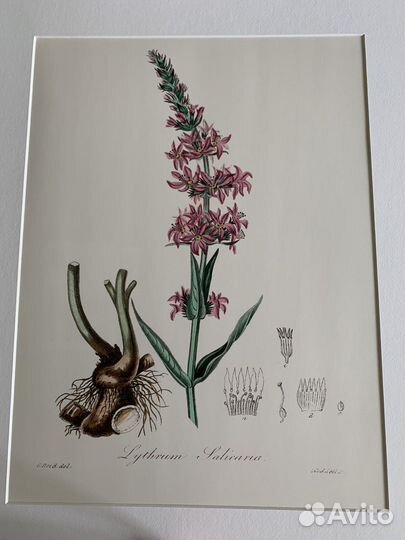 Постеры Икеа и др