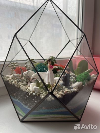 Флорариум суккуленты