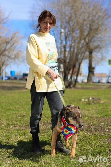 Старая собака Серхио в добрые руки