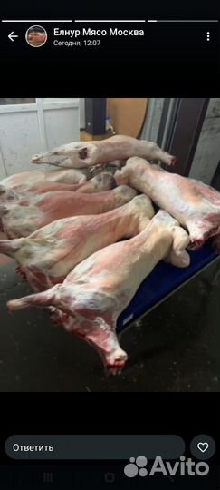 Продам курдюк барана