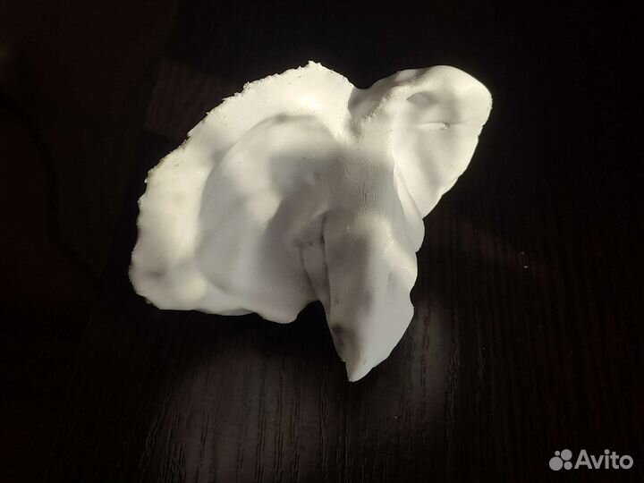 Височная кость