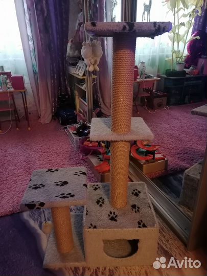 Когтеточка домик для кошки бу